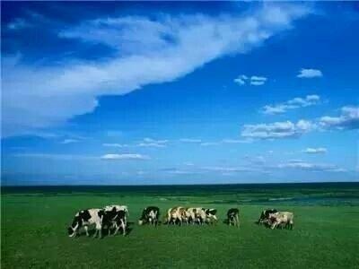 一个美丽纯净小城。它与蒙古国相依，是“纯净”的代言词，一年四季，风景如画，感觉不