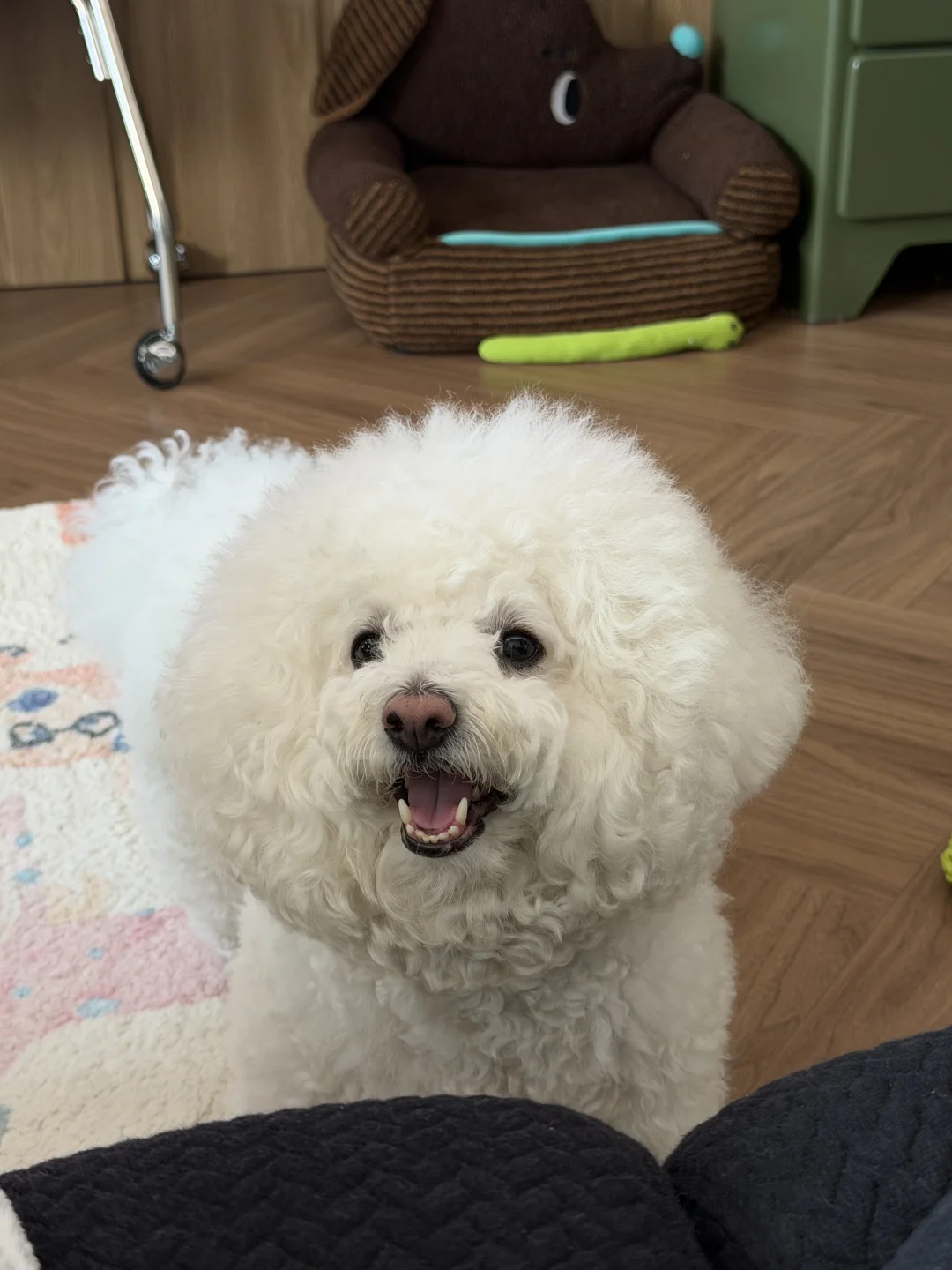 福哥一声吼
