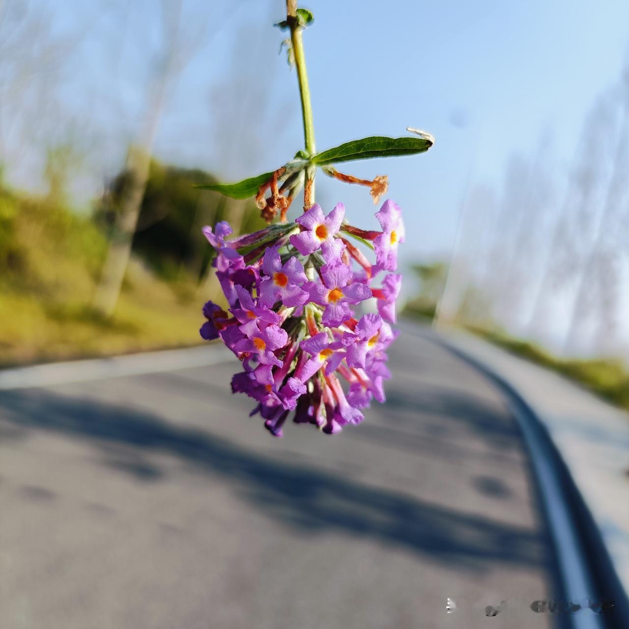 马上奔四了，现在记忆力越来越不好，大脑越来越不好使，越来越迷糊，最近丑态百出。