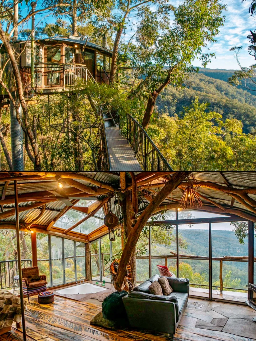🦘澳洲东南部的森林树屋 ｜一觉睡在大自然💤
