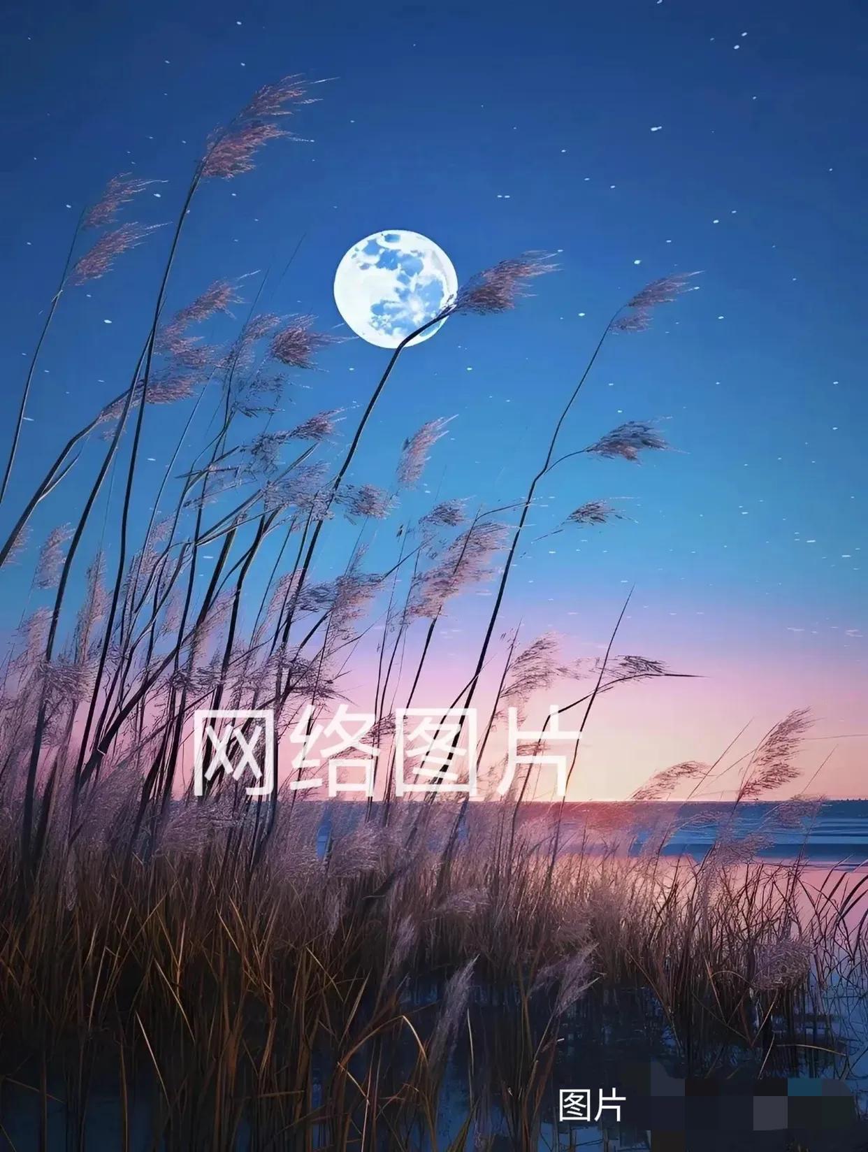 月圆月缺月高悬，

月暗月明月似盘。

月亏月盈月有信，

尾句________