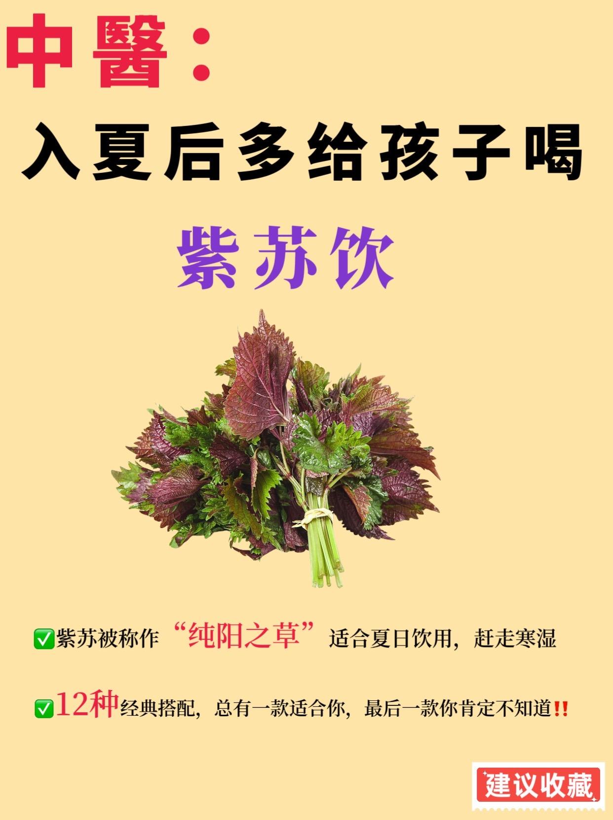 入夏喝紫苏饮赶走寒湿｜大人小孩皆宜。