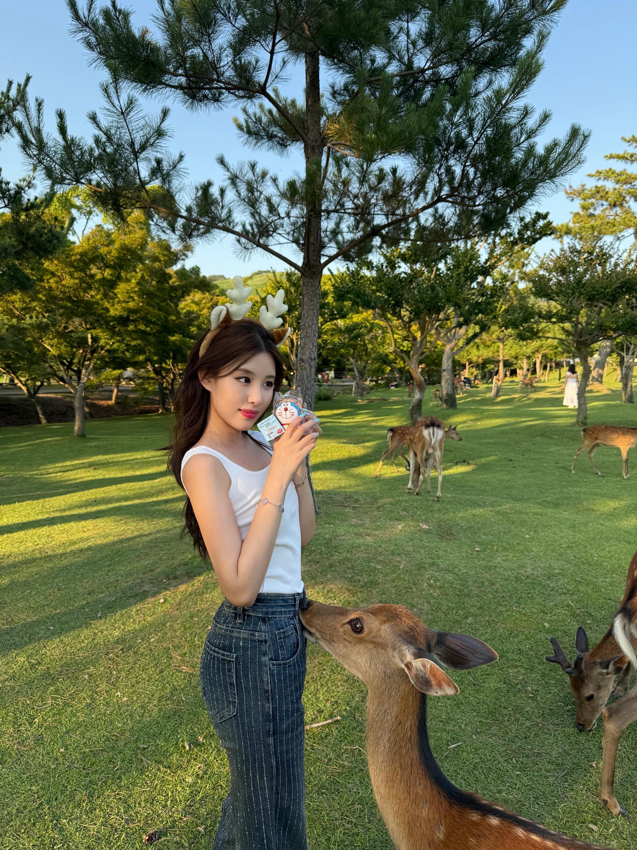 鹿鹿酱🦌