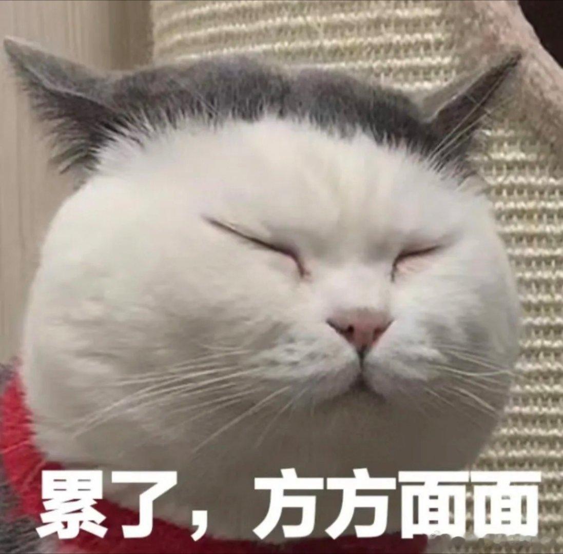 好像给麻辣烫店的脸太多了到底是谁叫我们对这个世界宽容点的，导致他们越来越不要月佥