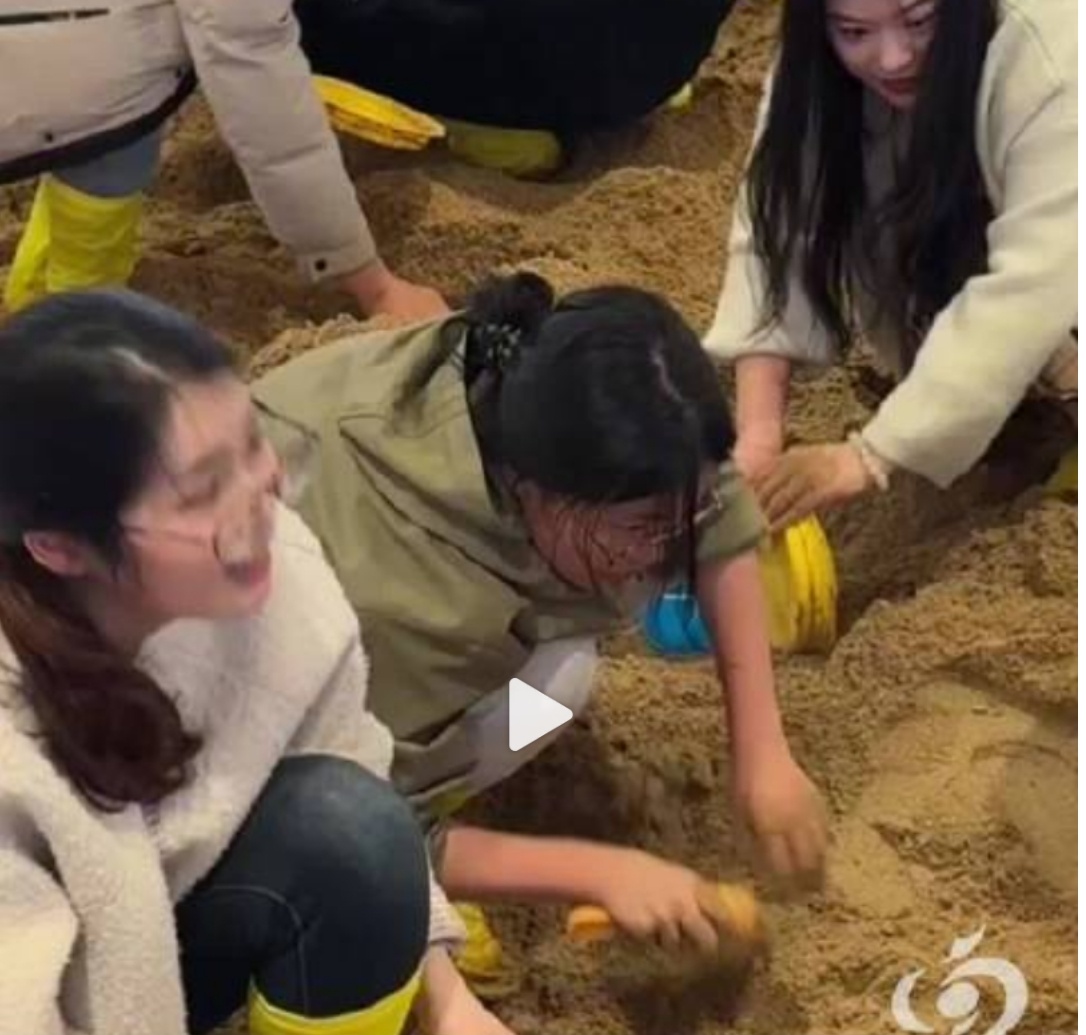 女生跨省参赛挖中限量黄金果然为了追星，什么潜力都能被逼出来！从杭州专程跑到长沙，