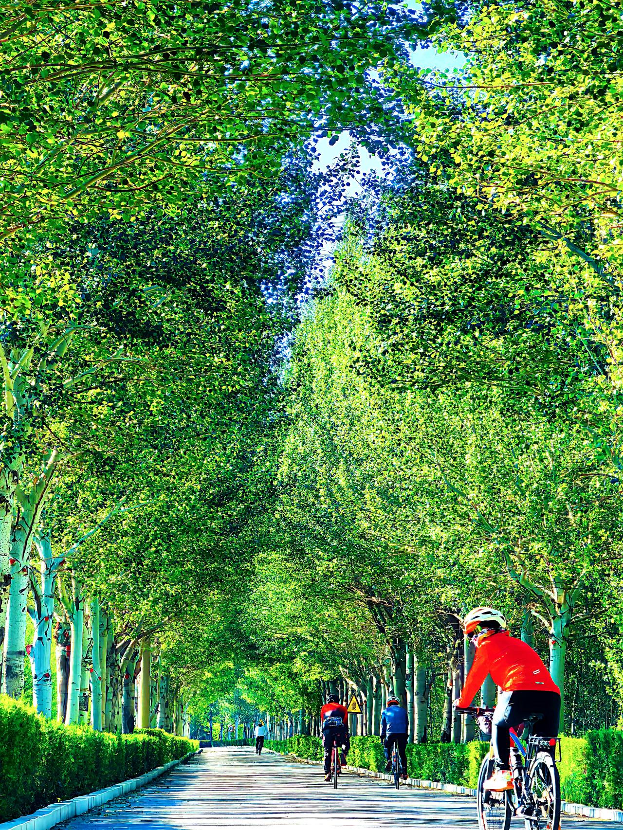 骑行🚴🚴🚴