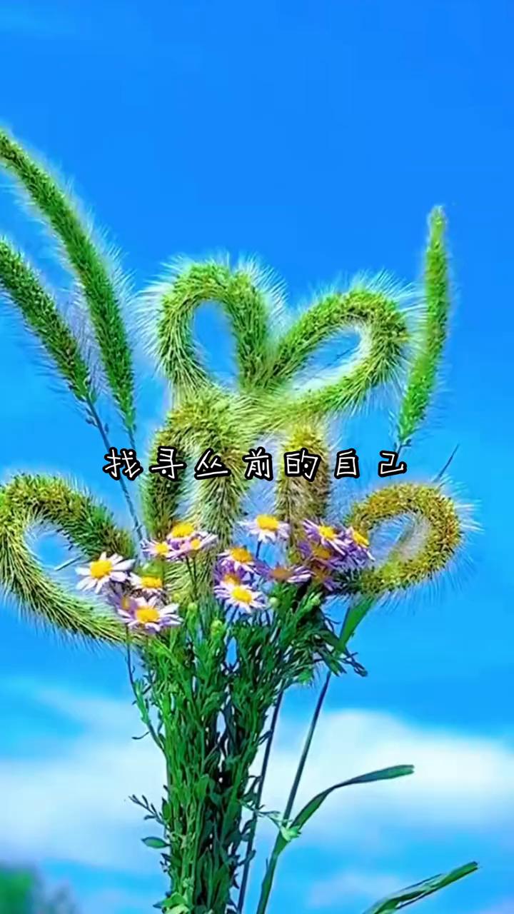 找寻丛前的自己。