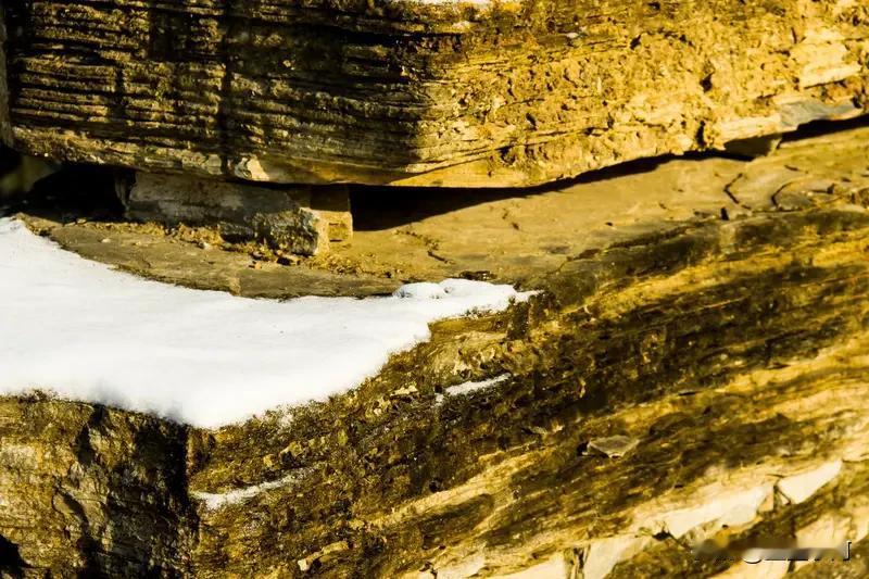 今日读古诗
《大寒吟》
宋.邵雍
旧雪未及消，新雪又拥户。
阶前冻银床，檐头冰钟