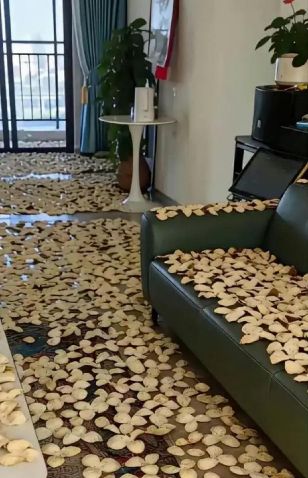 为了早点儿搬新家，这也太拼了…… 
