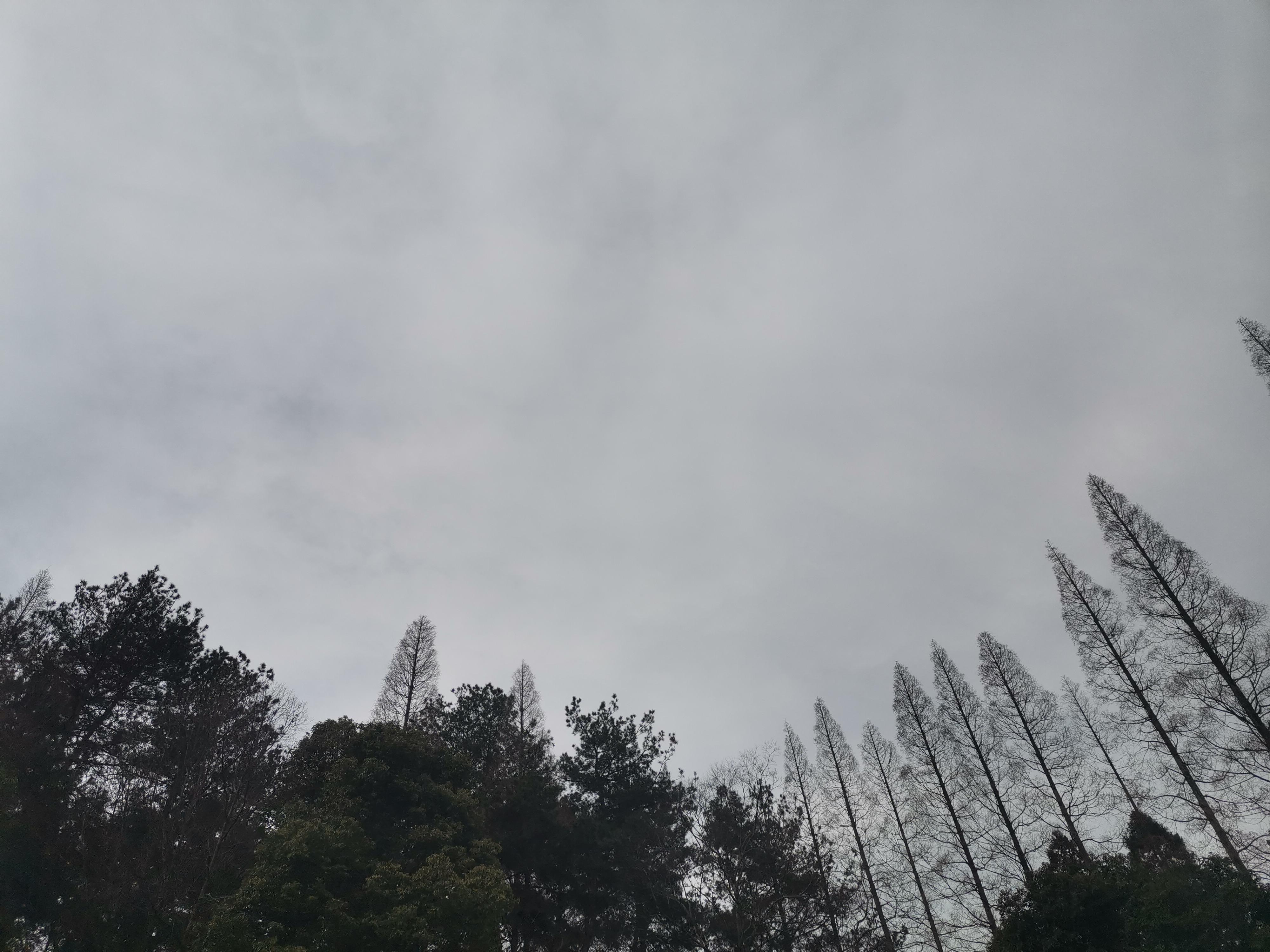 请注意，贵阳今夜明晨有大雾来袭