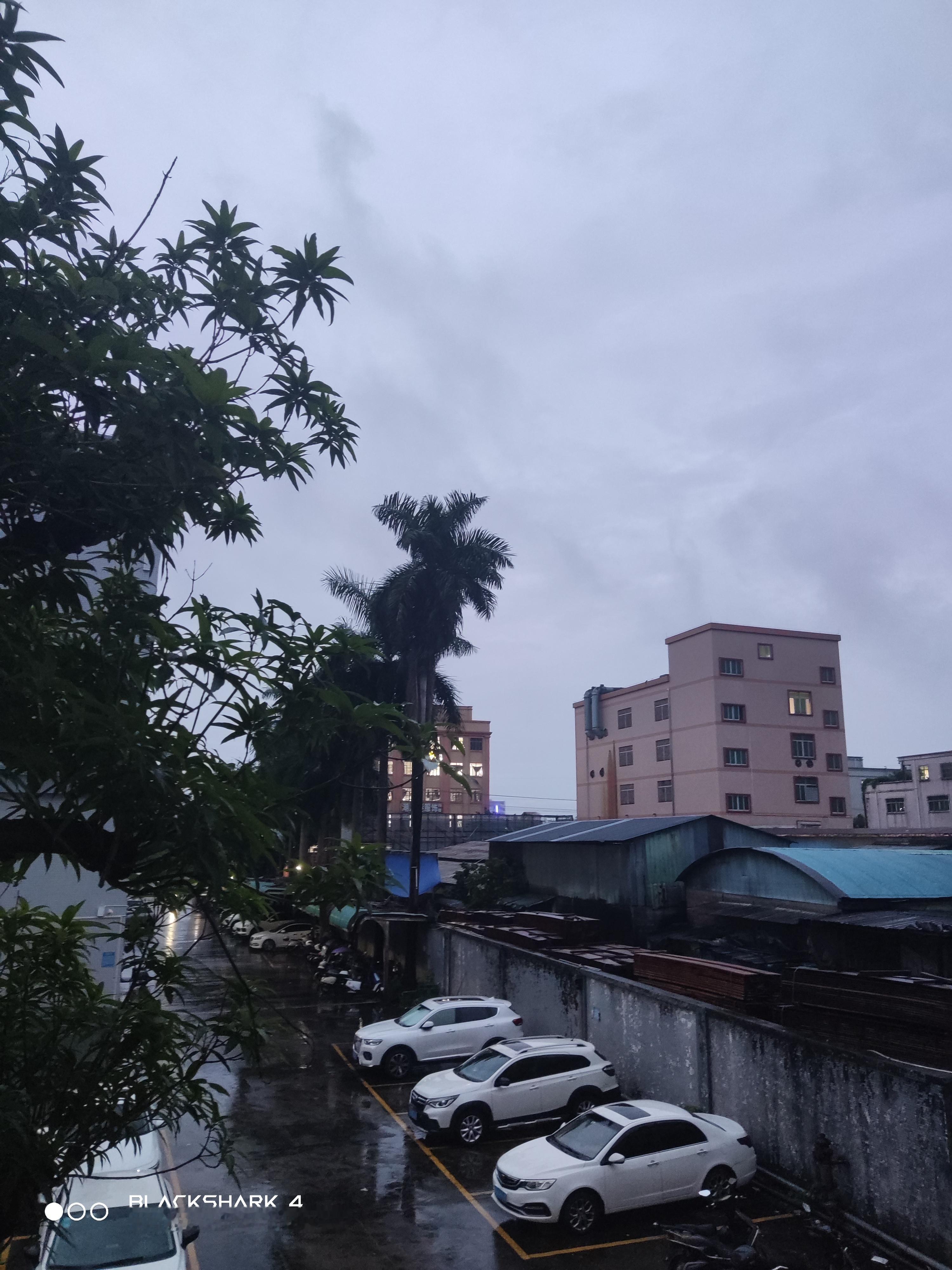 “爱与被爱我都拥有.”“风奏响冬日的序曲,我愿你能和太阳一样熠熠生辉”“盛不盛开