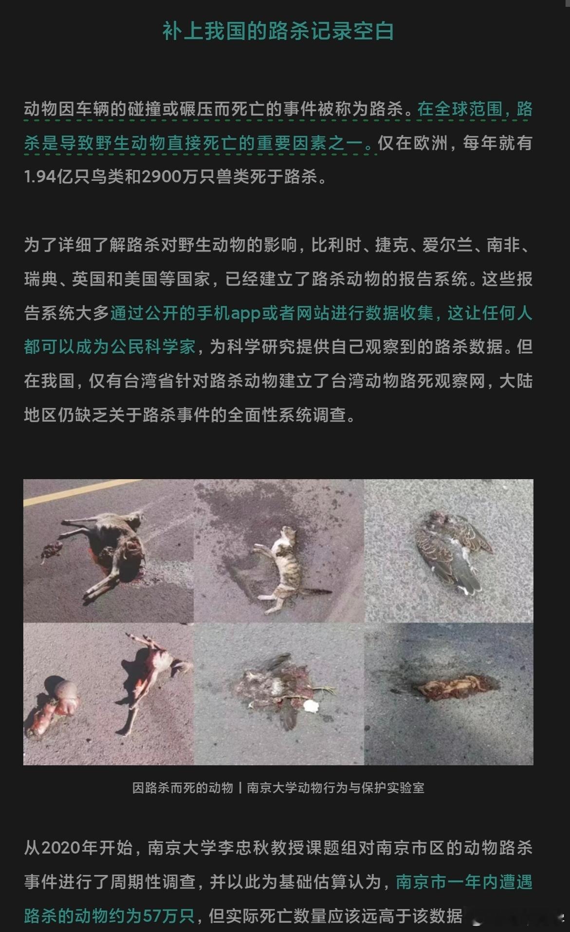 路杀，是指野生动物被车辆撞击或碾压而死。在全球这是导致动物直接死亡的主因之一。目