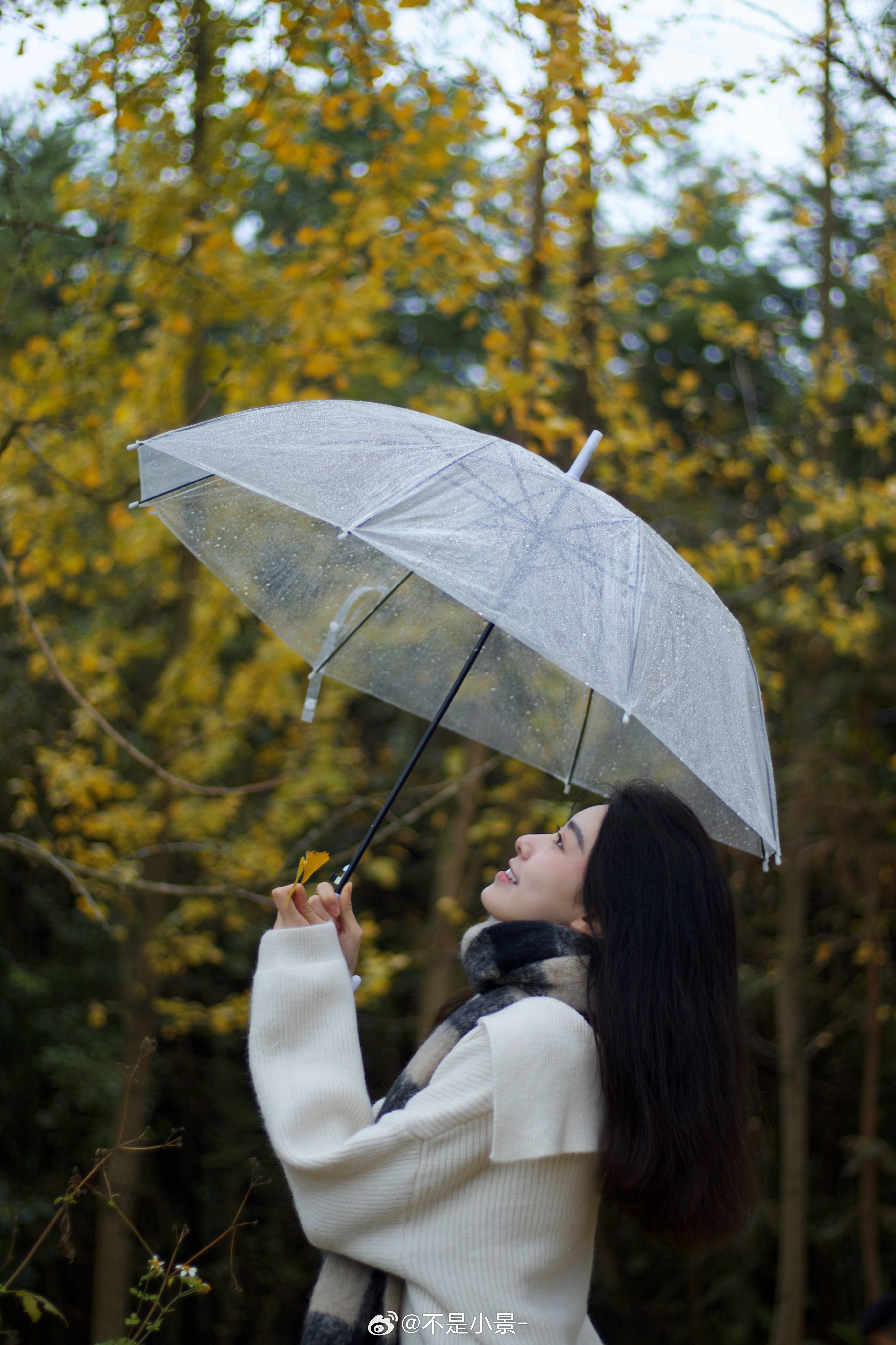 📷🍂 ​​​