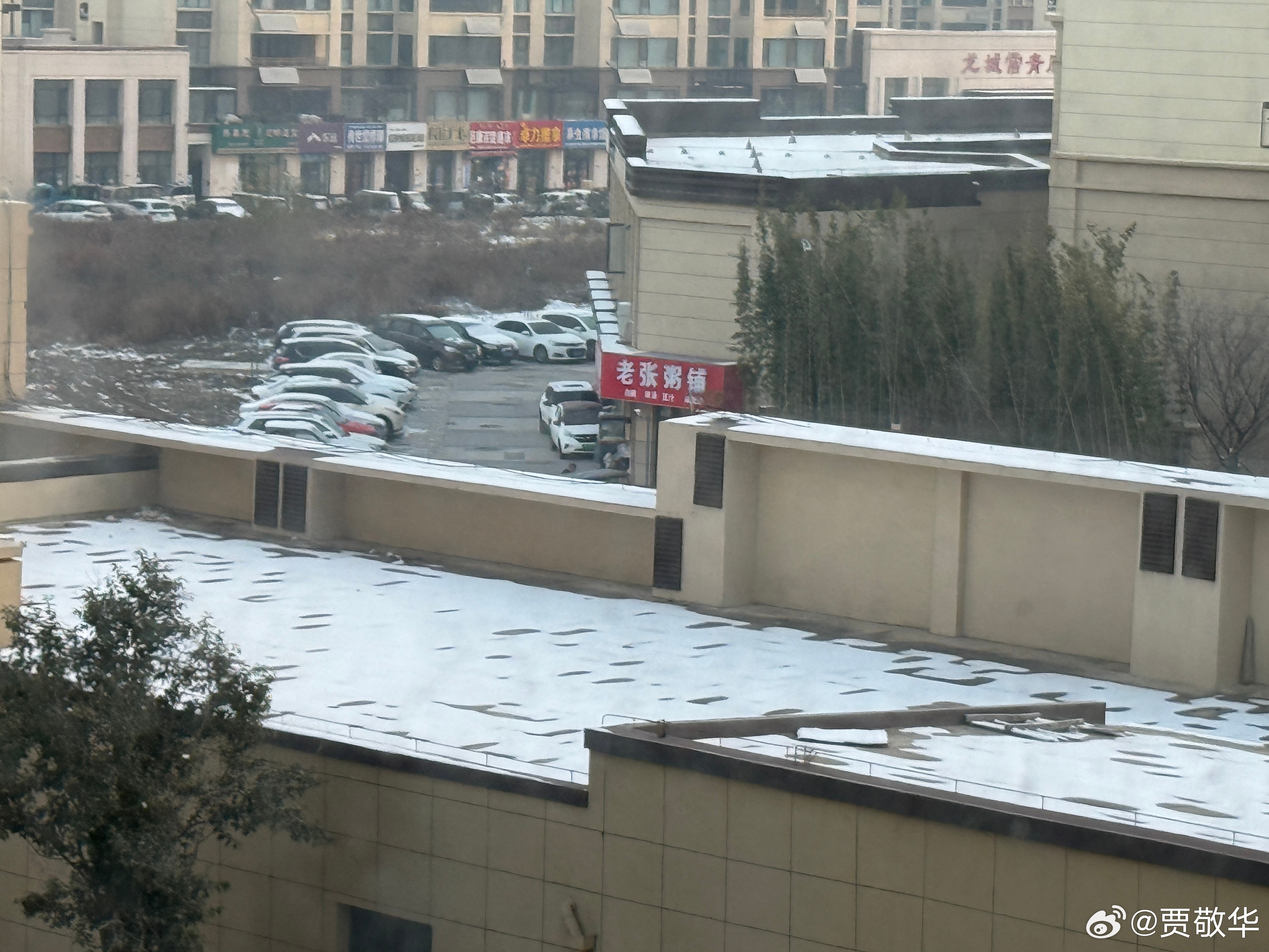 #每天早起打卡# 今年的第一场雪就这样结束了，起床搬砖去！ 