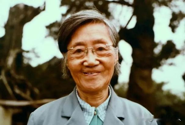 1960年，北大才女王承书狠心抛弃丈夫和孩子后不辞而别。17年后她已经白发苍苍，
