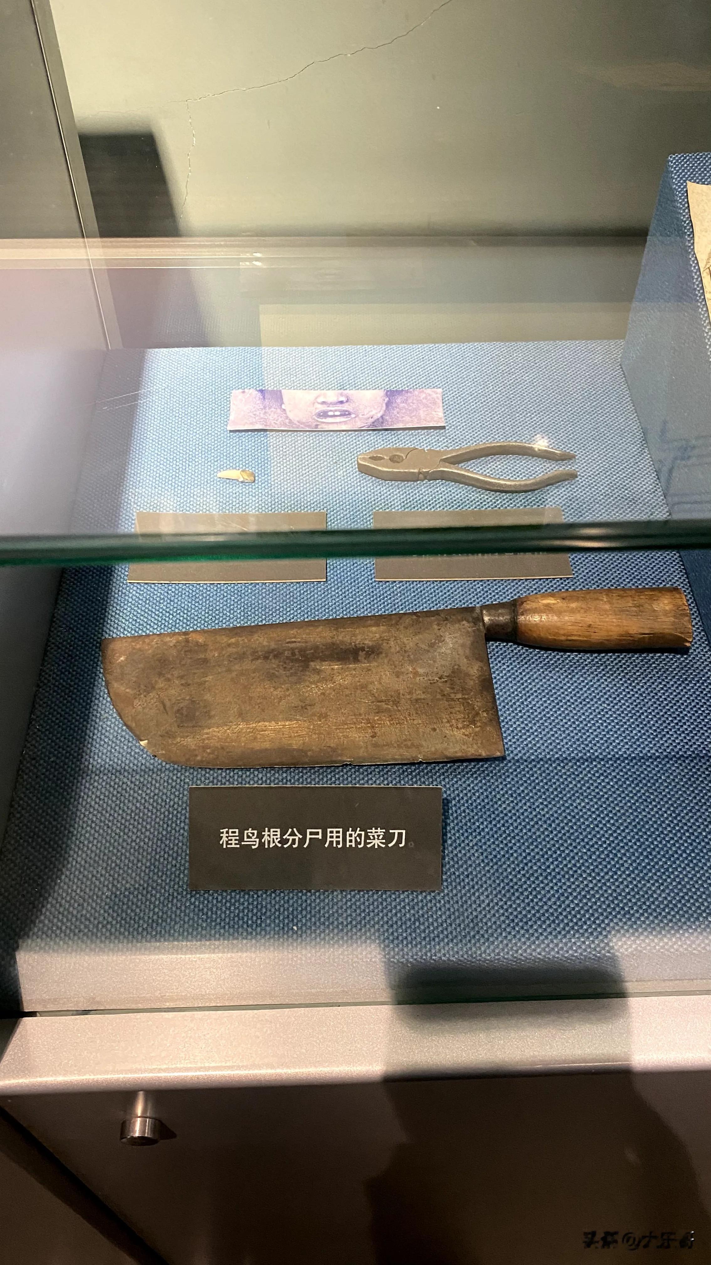希望大家不要害怕毕竟博物馆都提醒你了哈 
