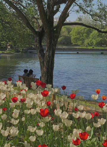 话是空的，人是活的。不是人照着话做，是话跟着人变。—— 钱钟书 