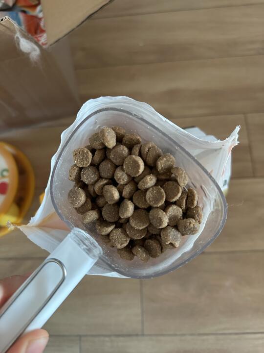 38大促开箱，囤的狗粮已经吃上了~