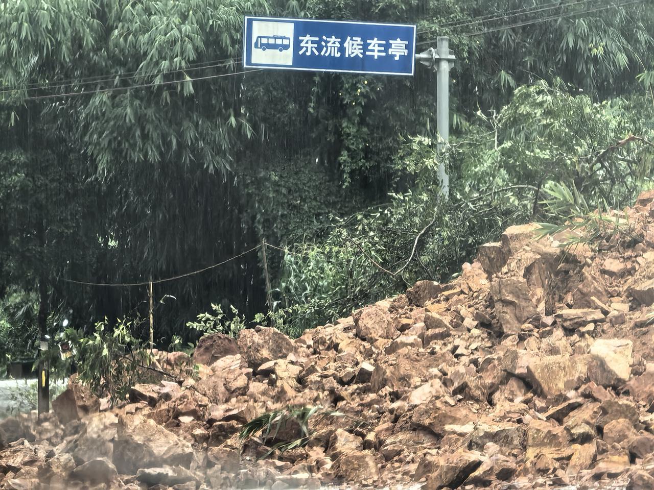 坚持下去,铁树真的会开花吗? 坚持下去，铁树真的会开花吗？铁树其实是能开花的，但