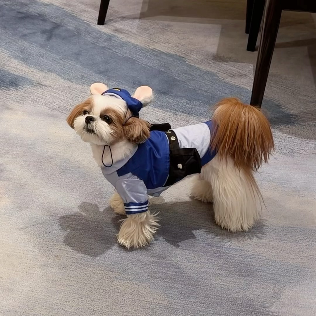 饿不饿呀~我饿我饿爸爸我饿