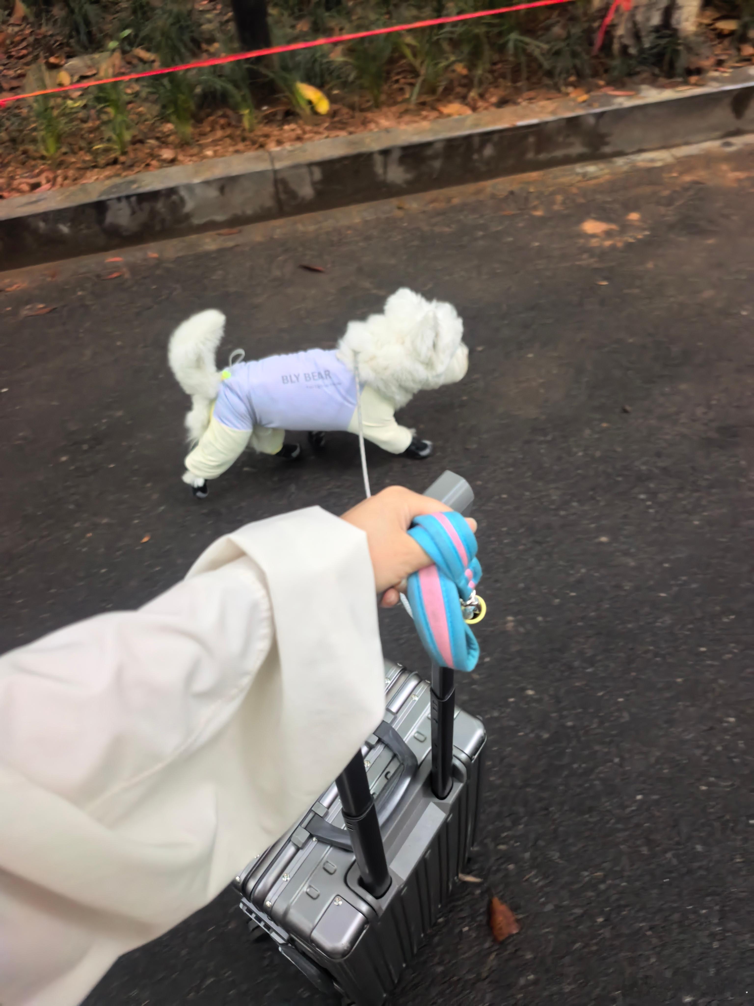 有财出马 一个顶俩 猜猜我们要去拍什么车 