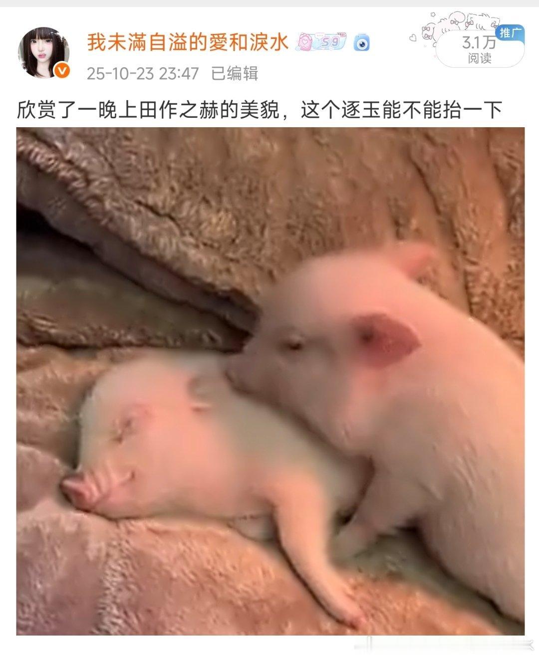 回看那年今日，老哥老姐好想你们🥲 ​​​