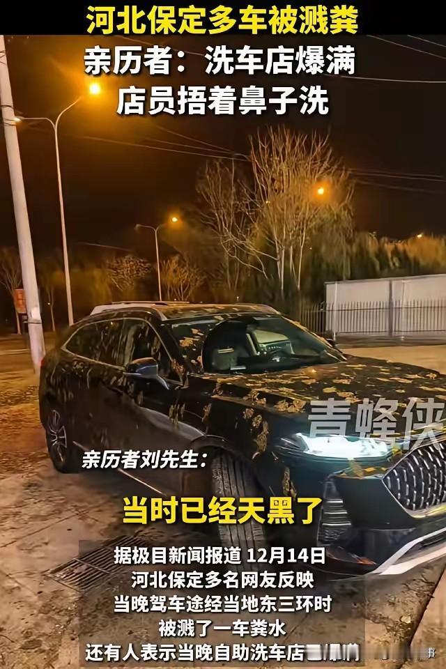 12月14日晚河北保定东三环发生的吸污车泄漏污物事件。当晚不少车主途经该路段时，