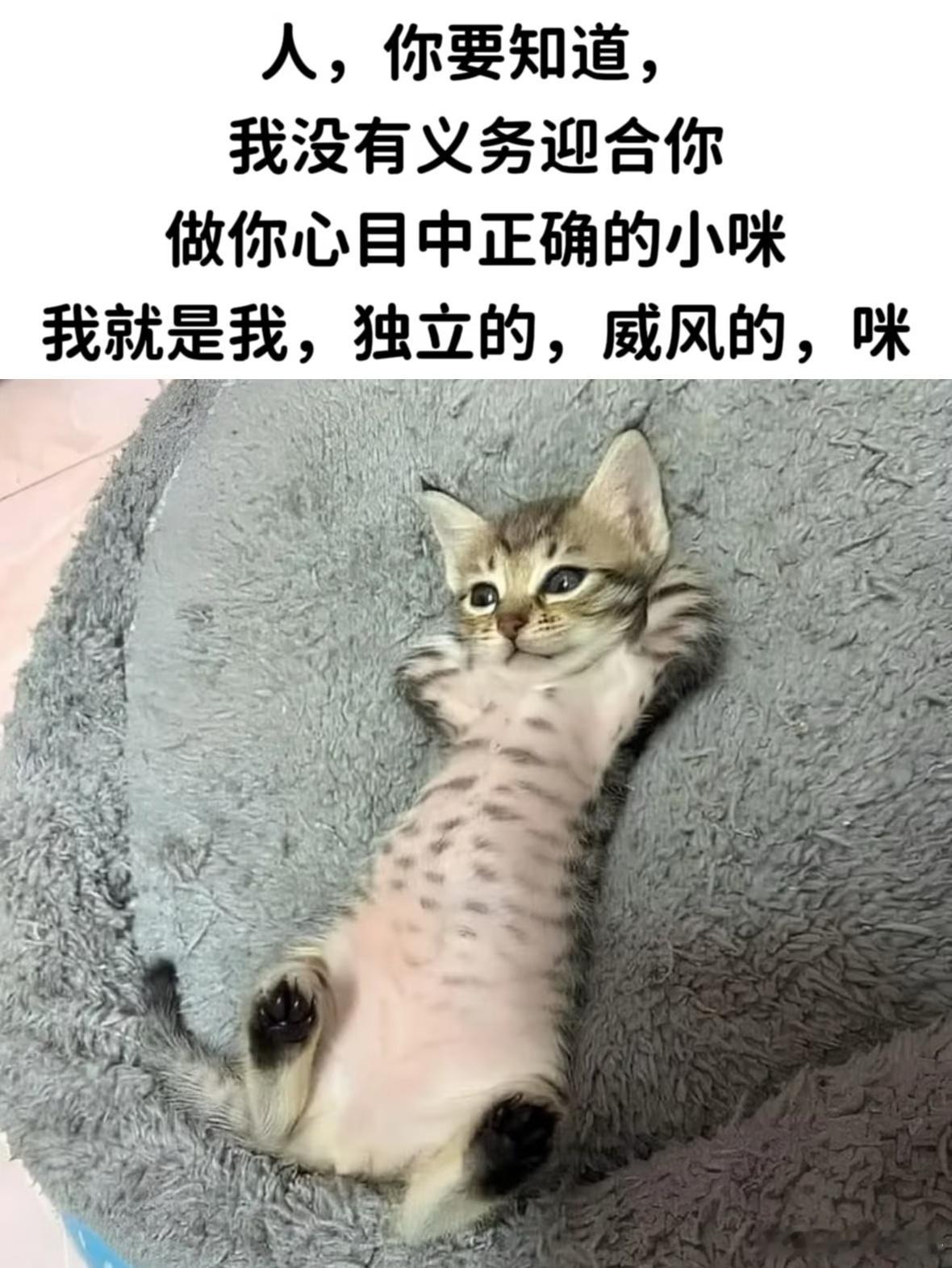 怎么看出一个人主体性很强主体性强不是脾气凶，是心里有主意。不会别人干啥自己就跟着