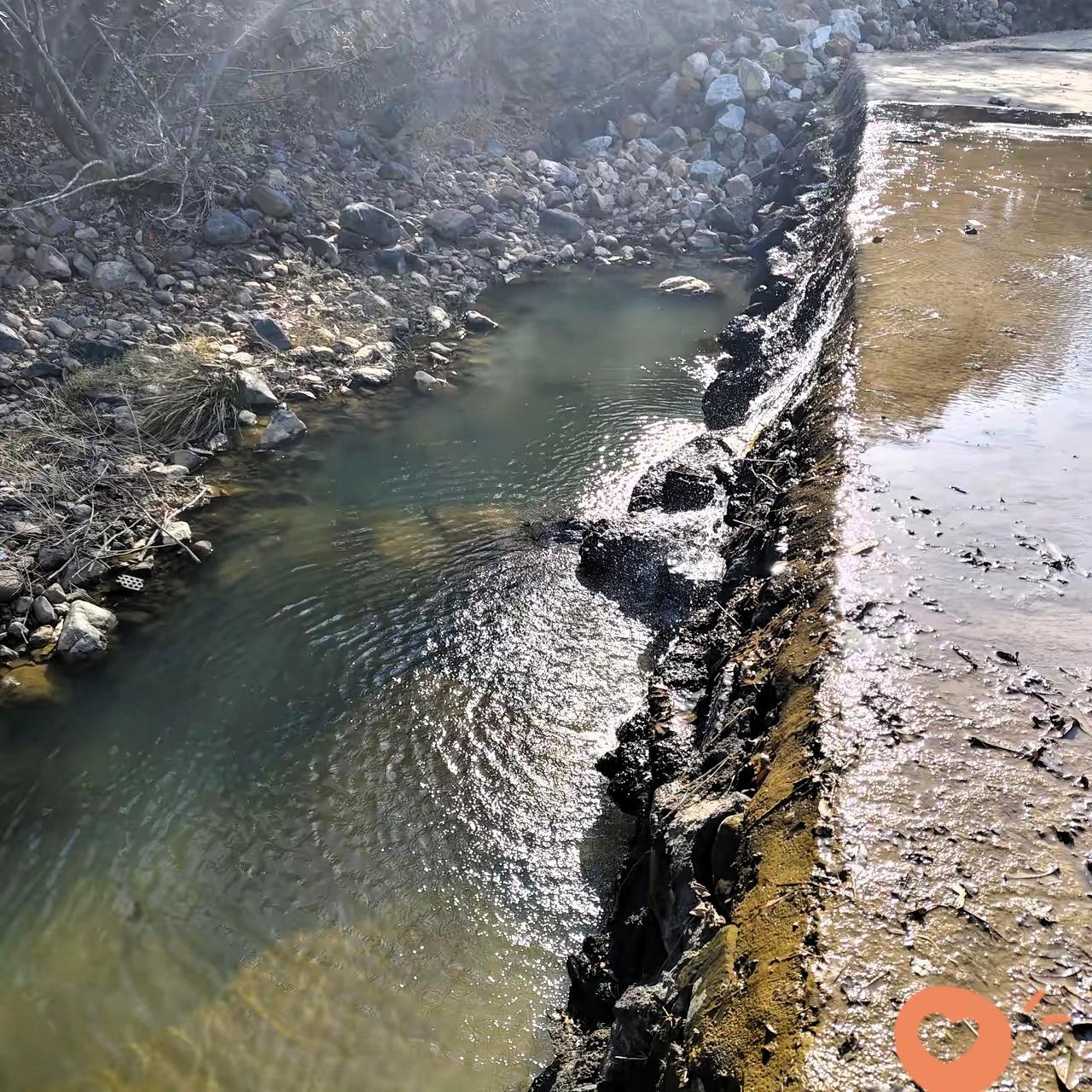 81岁红豆爷爷太让人敬佩了！为反映虚假诉讼奔走，明知前路难行还“明知山有虎，偏向