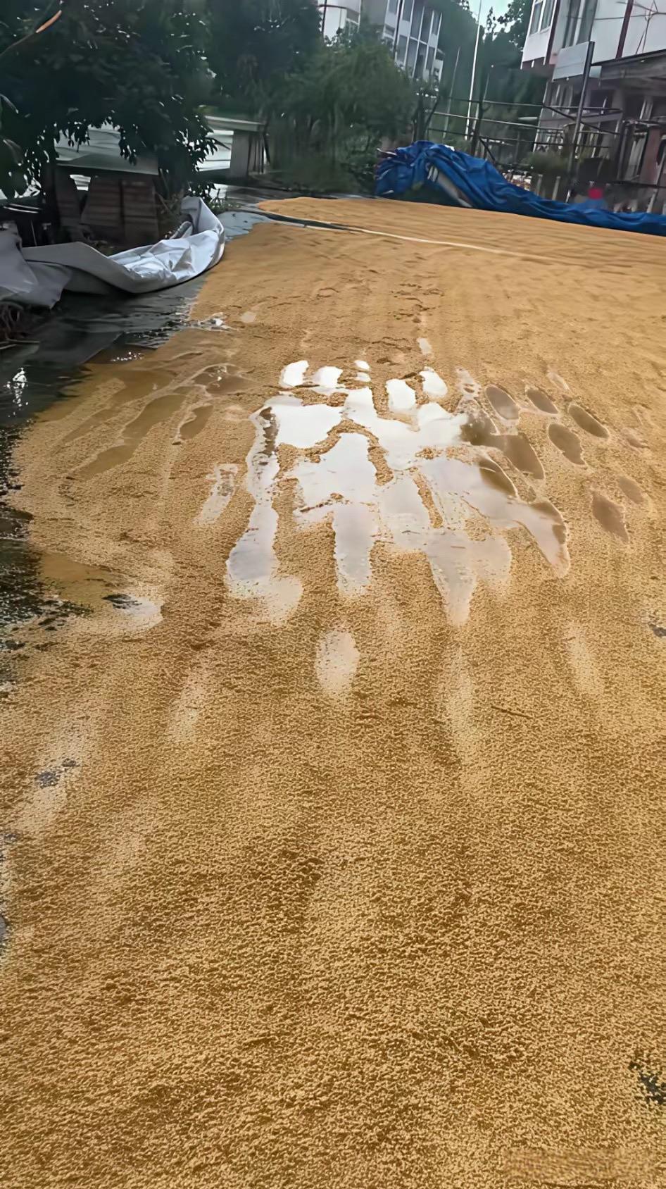 一觉醒来完了