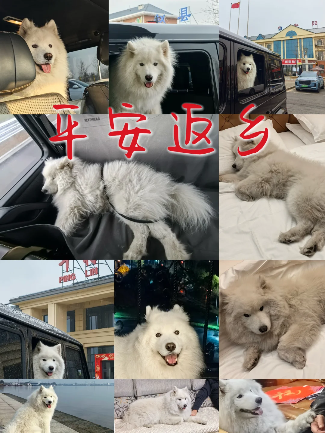 平安到达