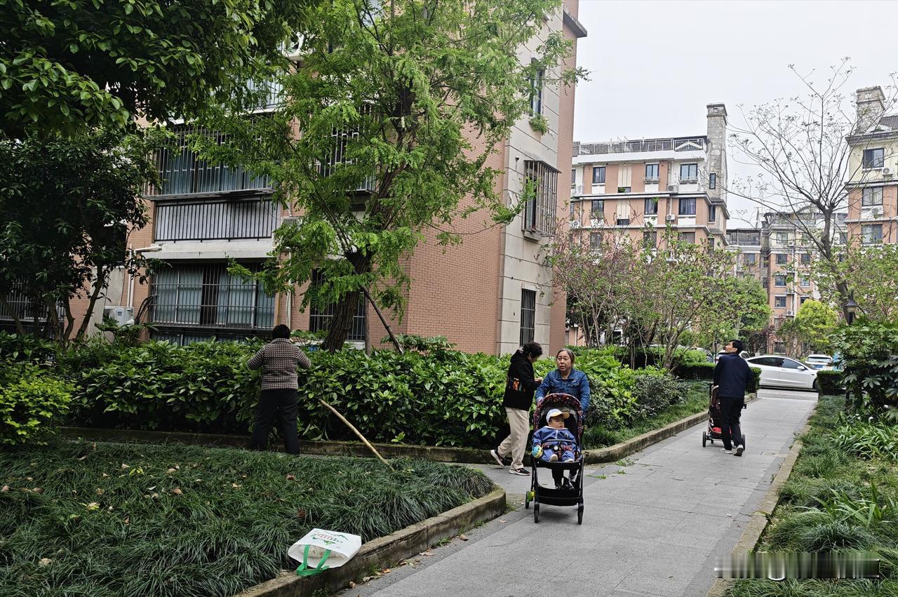 请不要急着喷我嫌弃农村人，您看完再说——
小区绿化成了来帮助带娃的农村中老年妇女