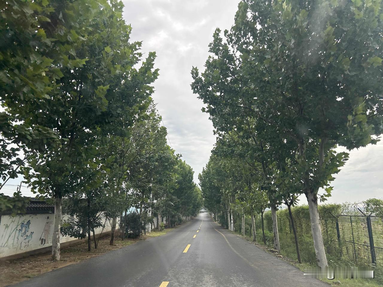 当我看到身边的人都在买黄金时，我也忍不住跟着买了几克。结果虽然没被挂在最高点，却