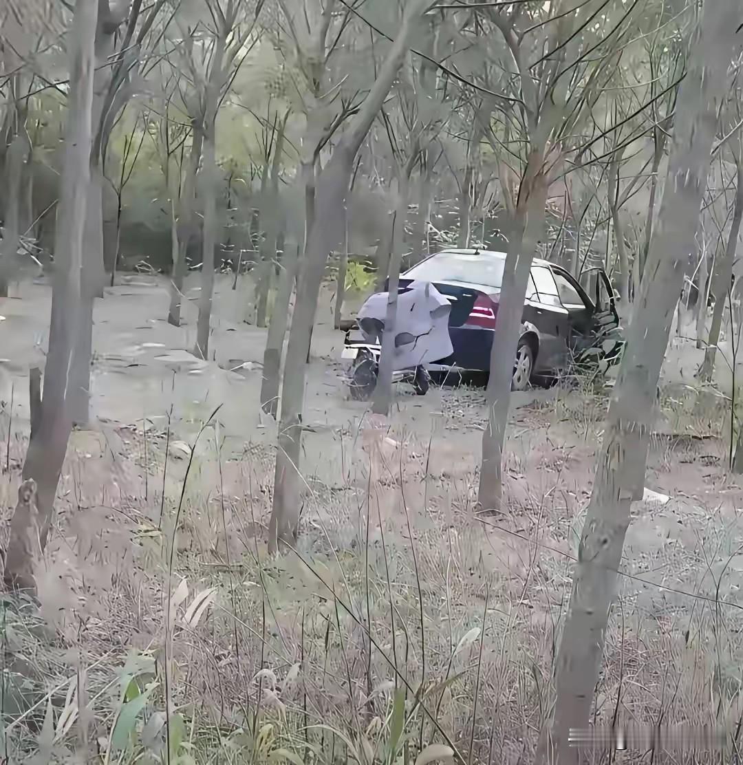 荒林里报废的黑色轿车与电动车，没人知道这里发生过什么？
荒郊野外的树林里，一辆黑