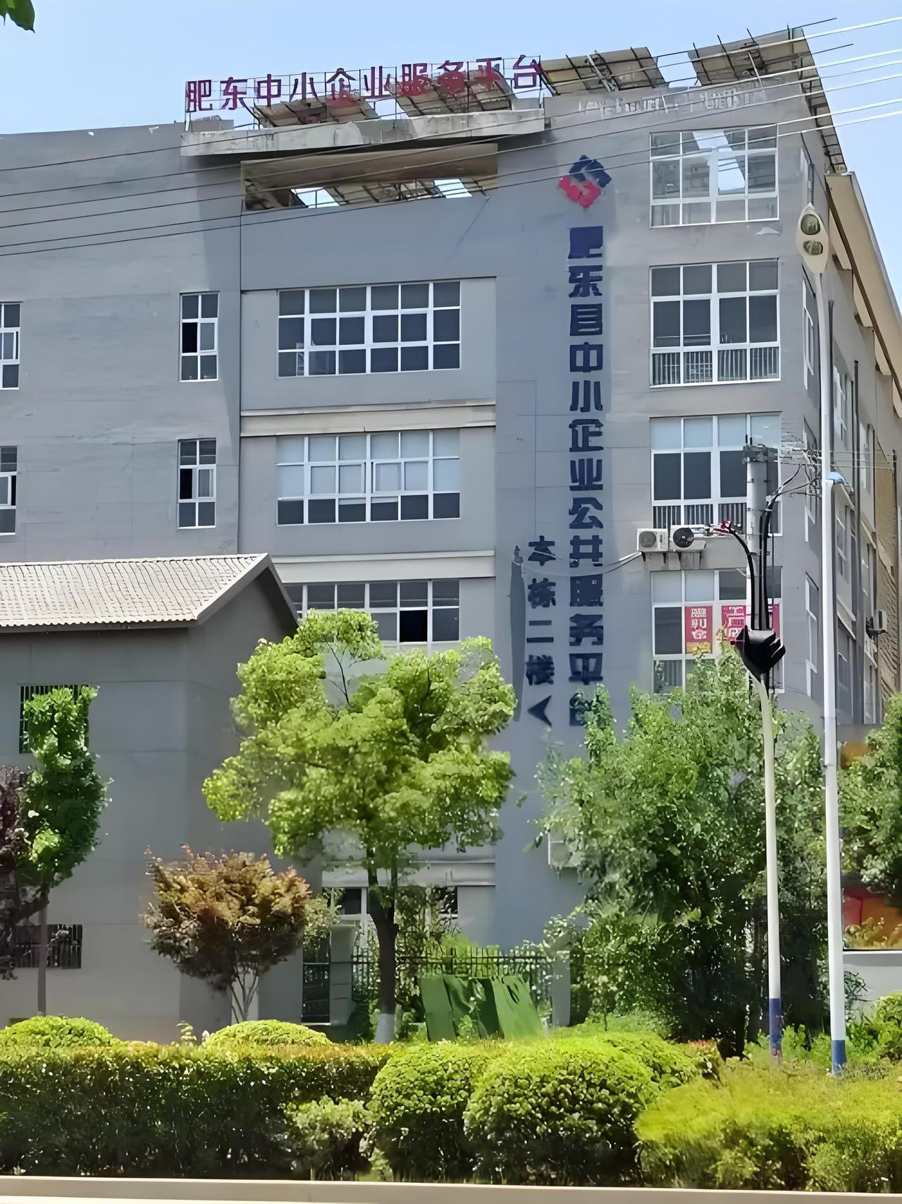 有人说同样是在合肥三县开公司、办业务，肥西和肥东的政务服务效率差距特别大！到底是