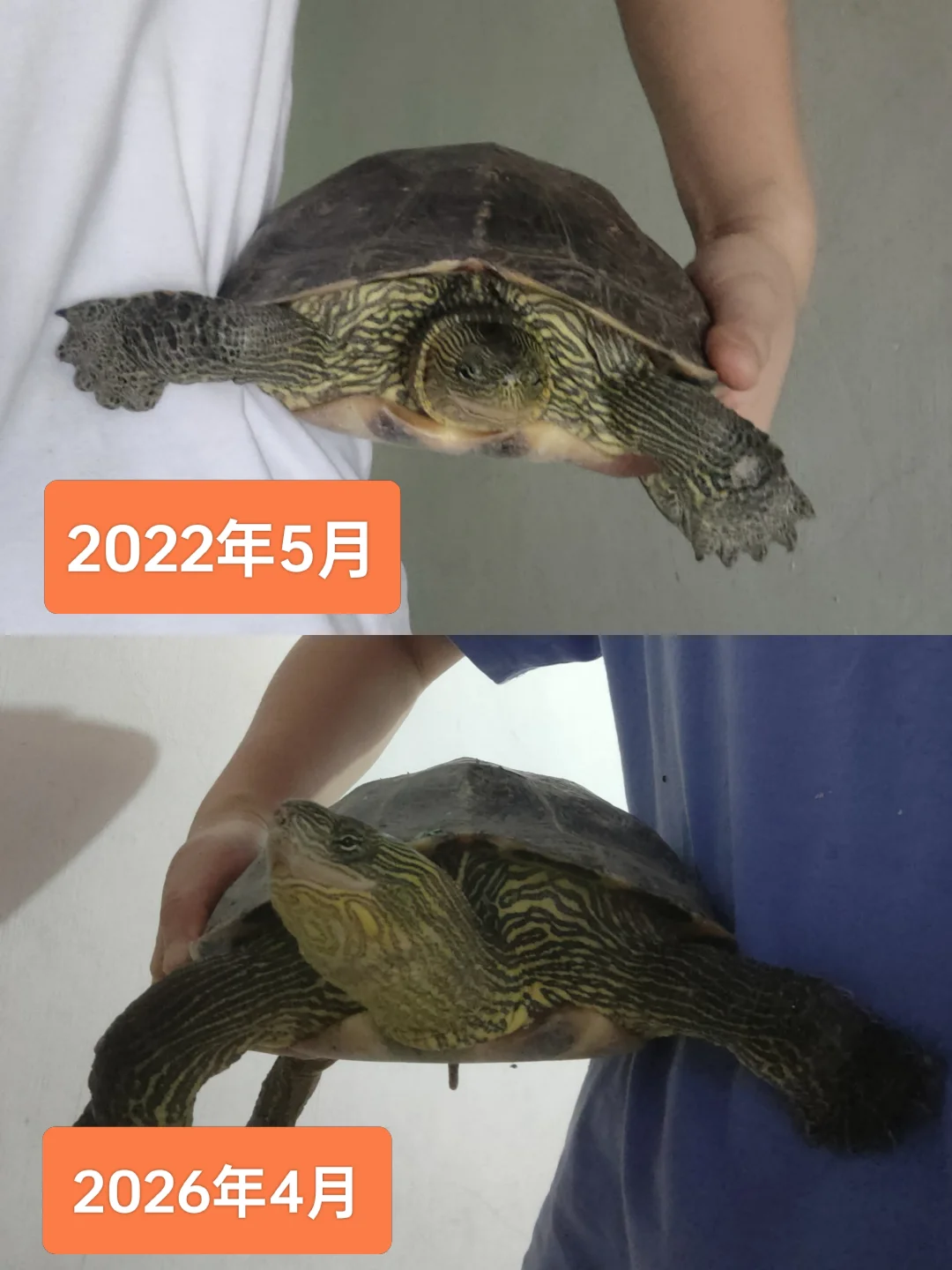 四年前的懵懂 😂四年后的无所谓