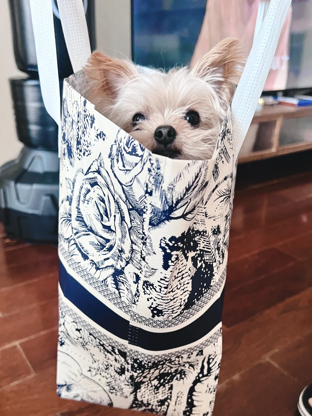 霸王茶姬居然能点到小狗🐶