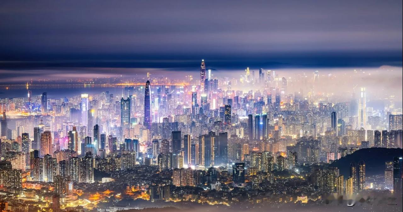 深圳的“第一”基因深植于改革开放的血脉中，以下是这座城市在多个领域的标杆成就：