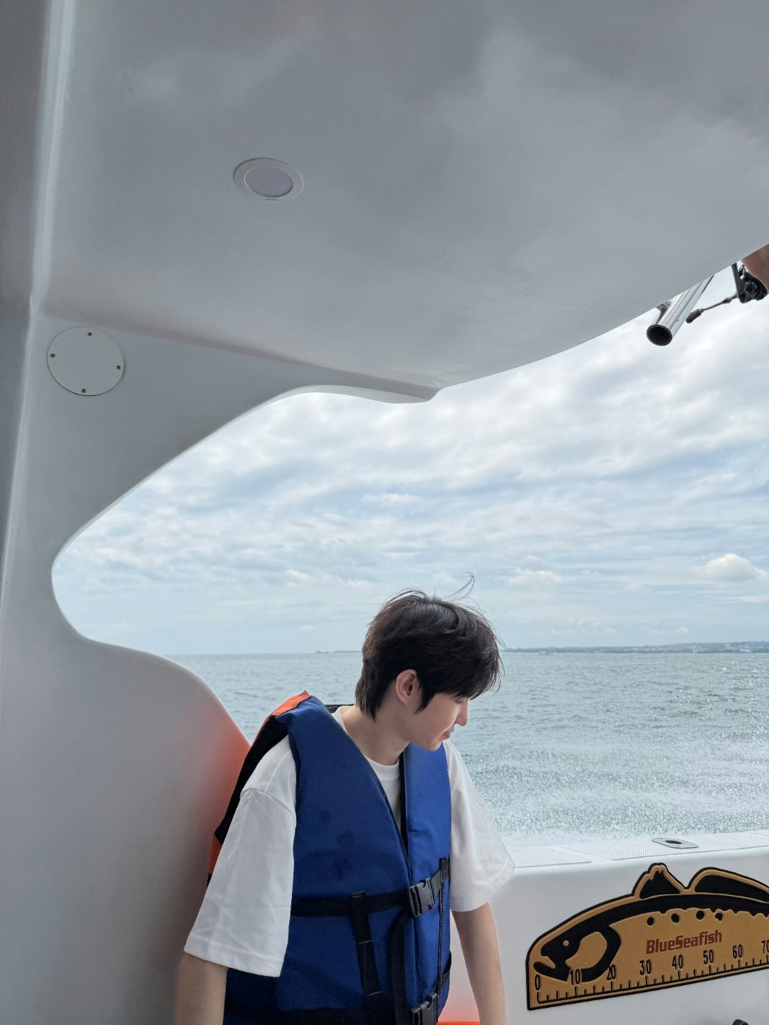 海豚从我眼前飞跃，我看见了最阳光的笑脸