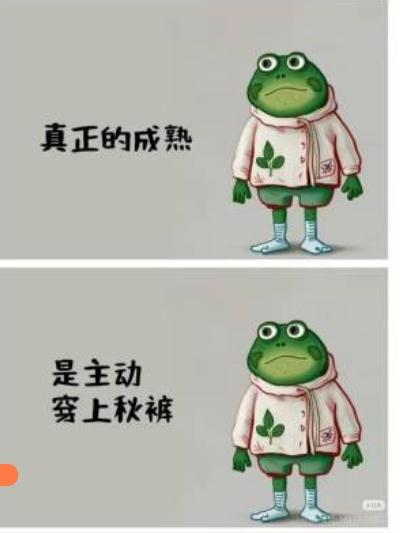 又是秋风起。
霜降已过，巳开始寒气逼人！
刚刚，做梦，梦到了五年前离世的母亲，她