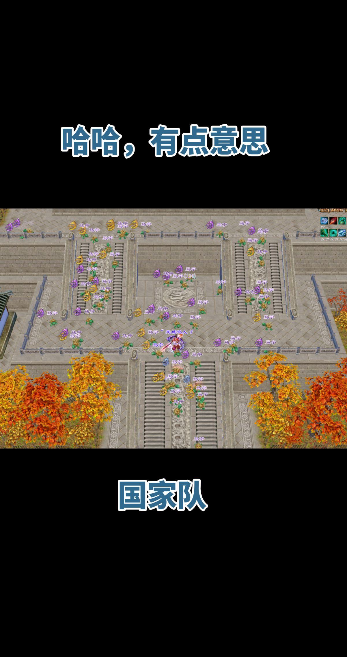 马宁出征，寸草不生～小乌龟挺可爱～