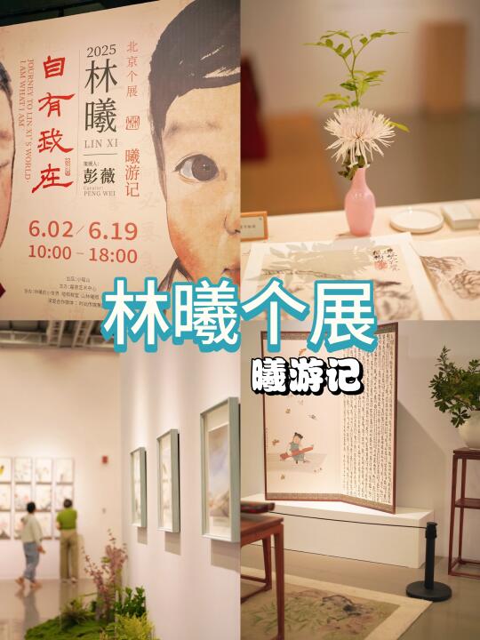 文玩青年看展｜林曦“曦游记”