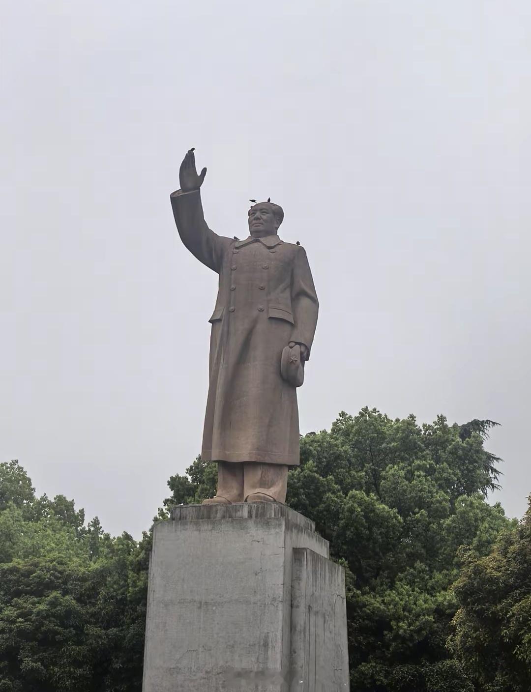 浙江大学玉泉校区内，有人拍到的一张图。教员雕像的手指上，肩膀上，头顶上，静静的立