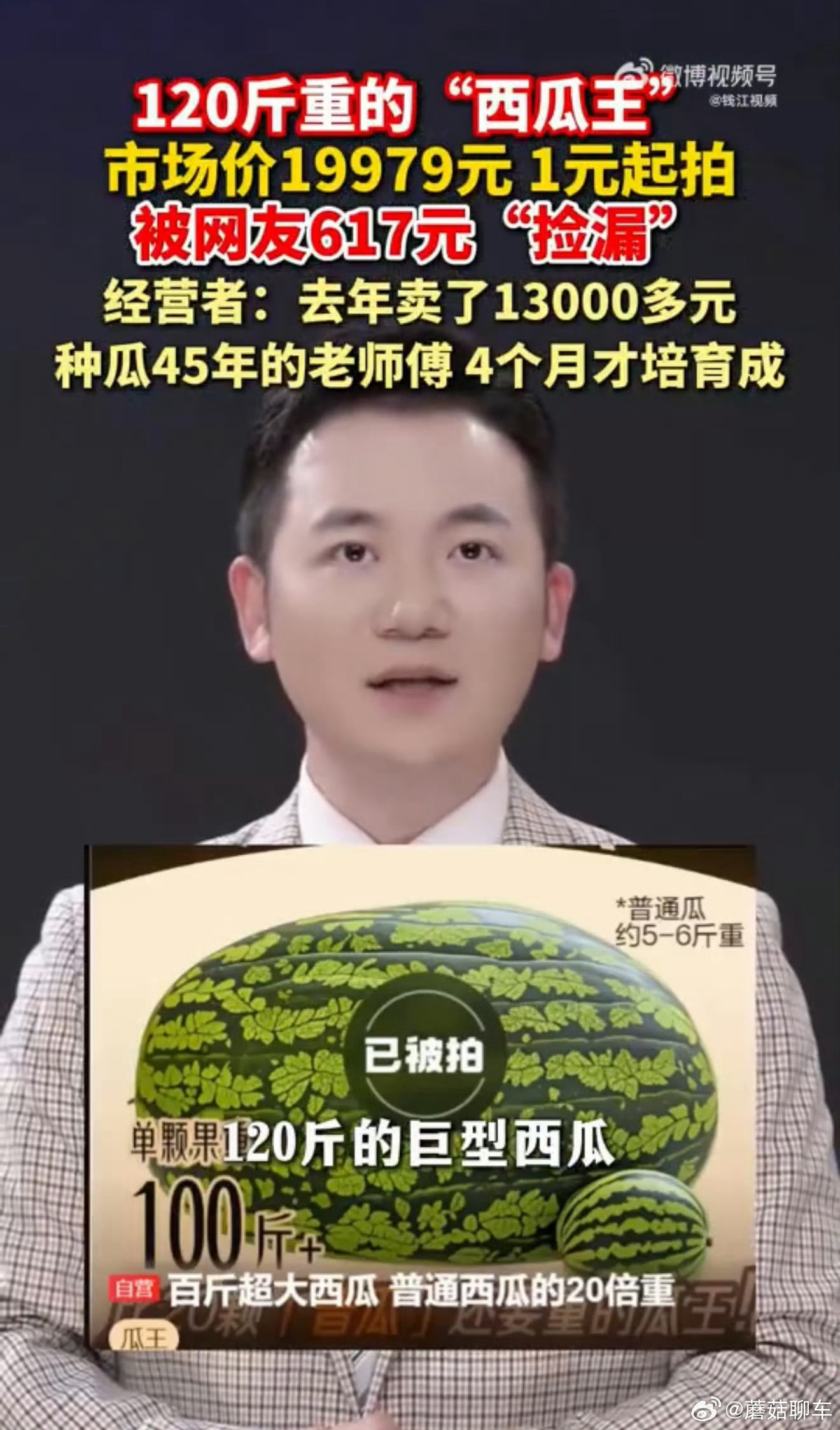 120斤西瓜瓜王拍卖仅617元成交去年买了一万多，今年直接被捡漏617买到了12