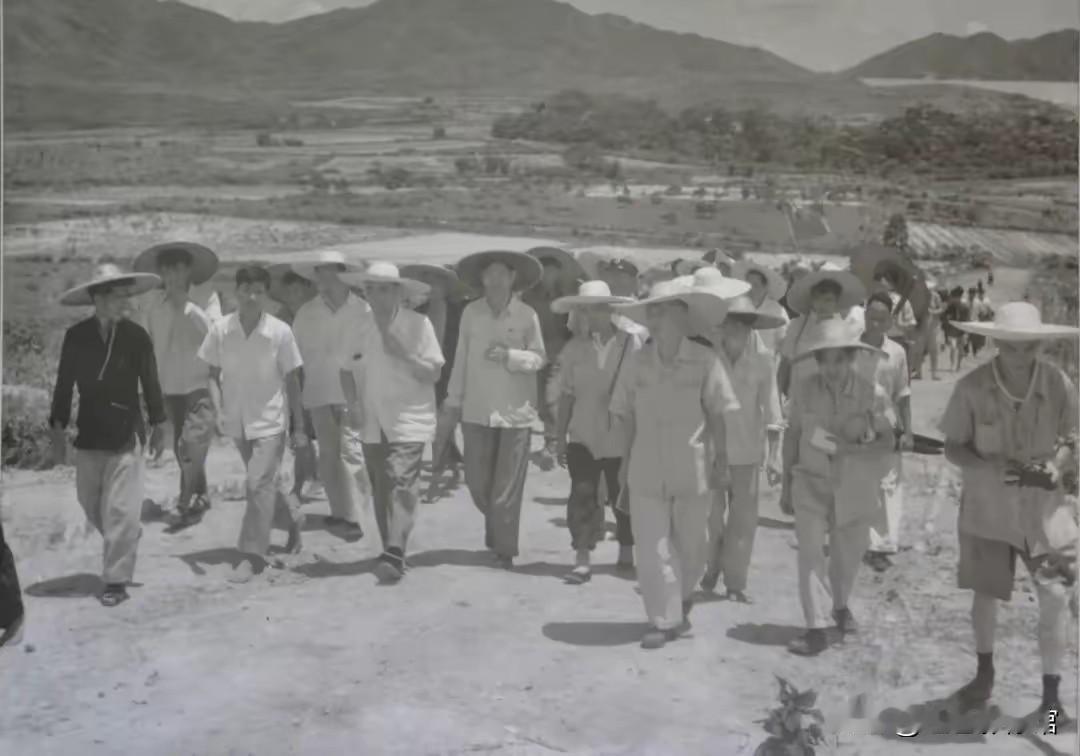 1958年7月，周恩来总理冒酷暑赴广东新会调研。三张照片定格珍贵瞬间：田间地头徒