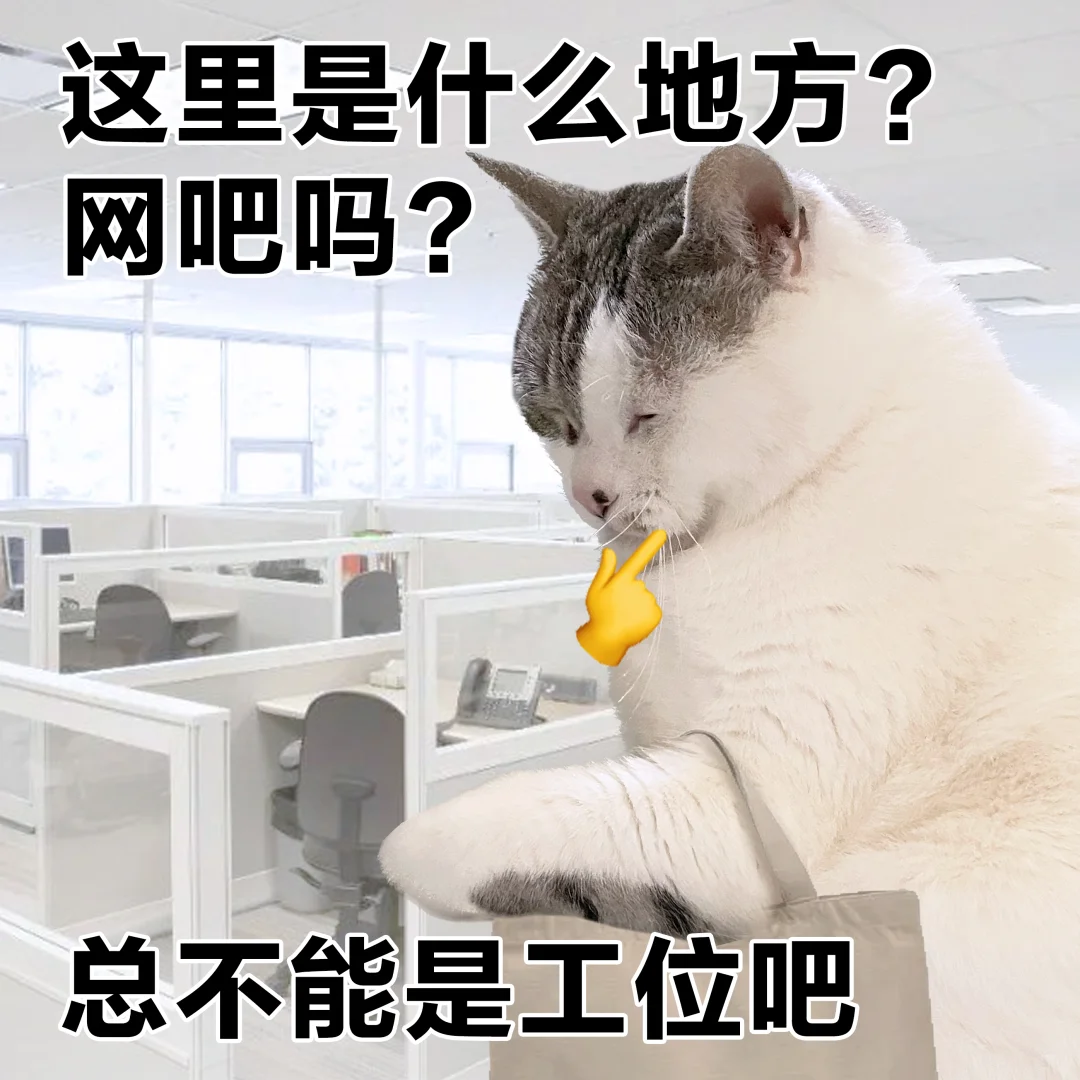 表情包 | 水灵灵的工位越看越像网吧