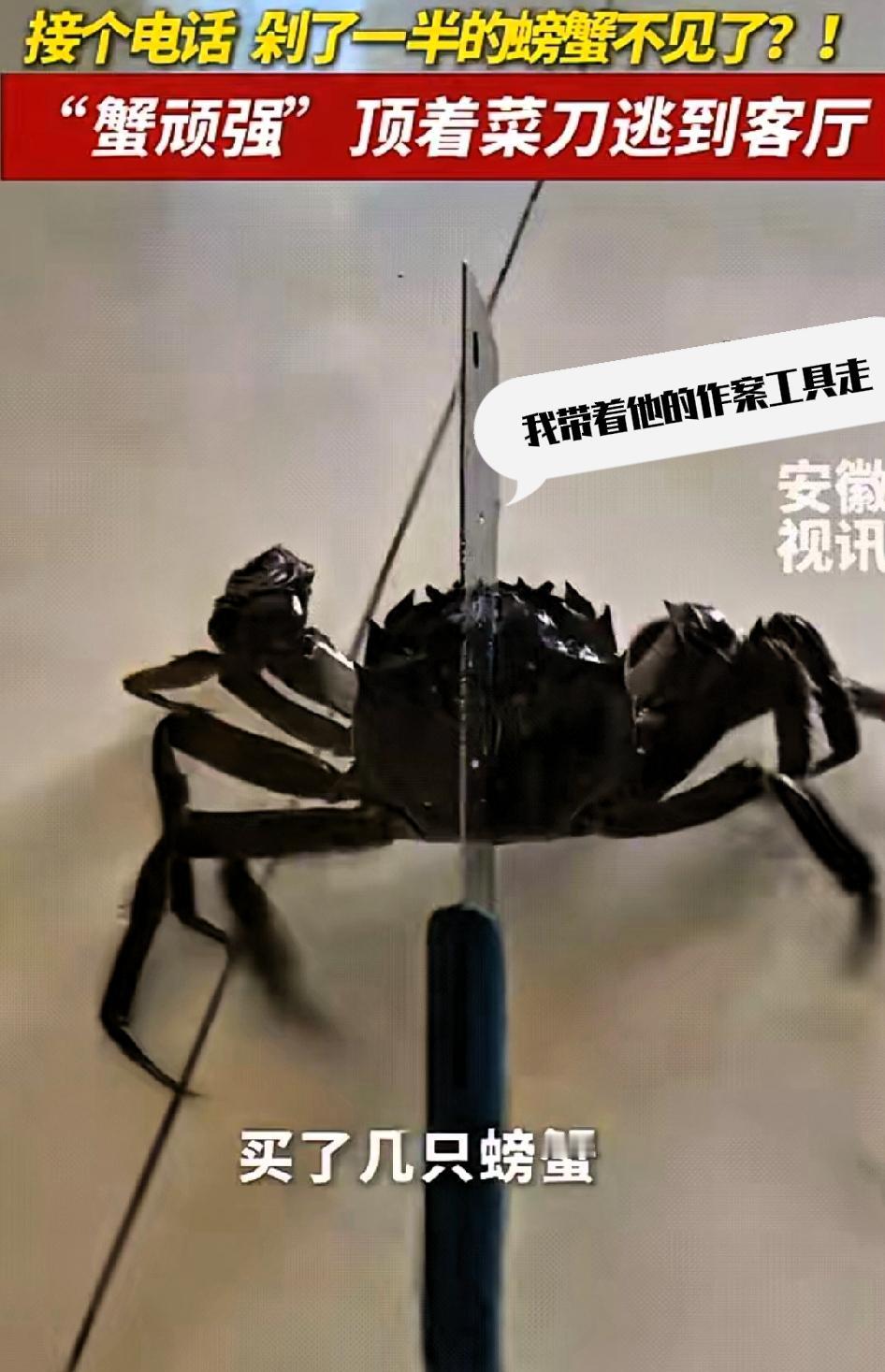 “万物皆有灵性！”湖北一男子买了几只螃蟹准备烹饪，接电话时把菜刀压在一只螃蟹身上
