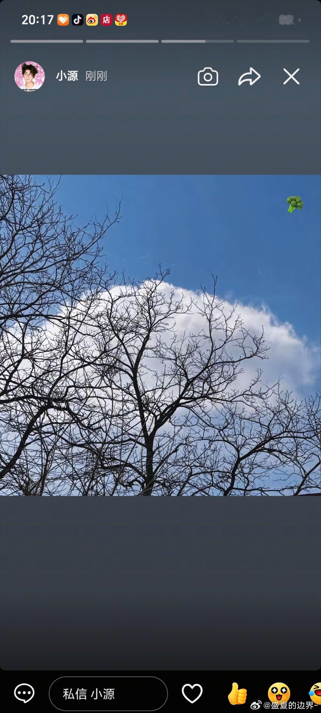 ☁️☁️🐦🥦🌙 