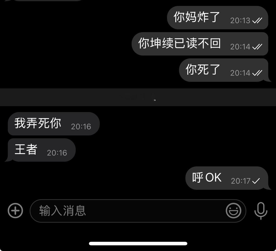 下次推图写不要打王者的