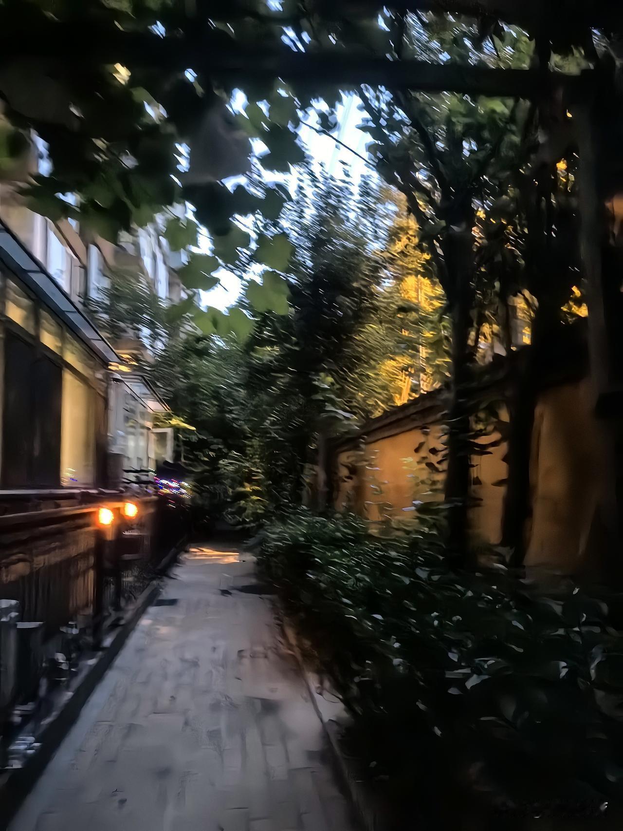 盛夏闷热难耐，在裕泽园小区溜达。围墙外就是徐庄路。紧贴围墙， 种有一排海棠树。